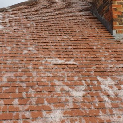 Roof Cleaning Downside
